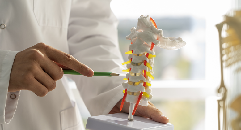 Menjaga Kesehatan Tulang, 8 Makanan Tinggi Kalsium Untuk Mencegah Osteoporosis