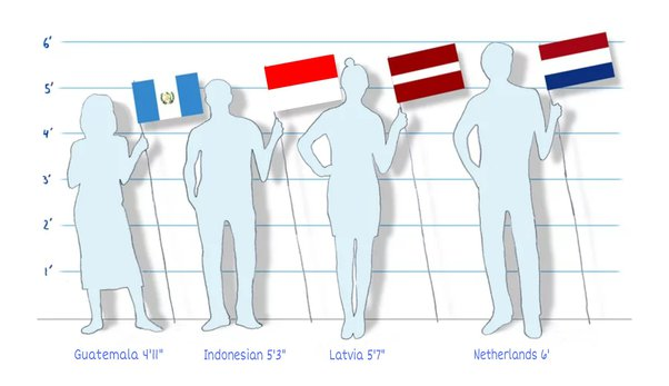 tinggi badan indonesia