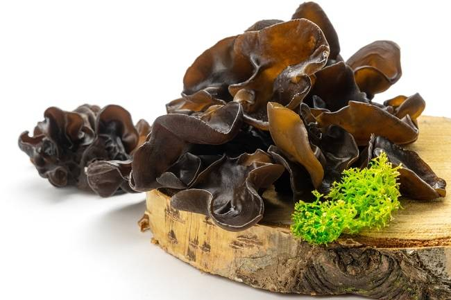 Jamur Kuping, Makanan Sehat yang Banyak Manfaat Bagi Tubuh Ini 7 Faktanya