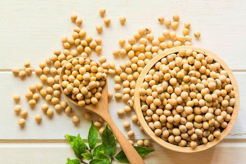 Kacang Kedelai: Snack Murah yang Mendukung Kesehatan Tulang dan Gula Darah