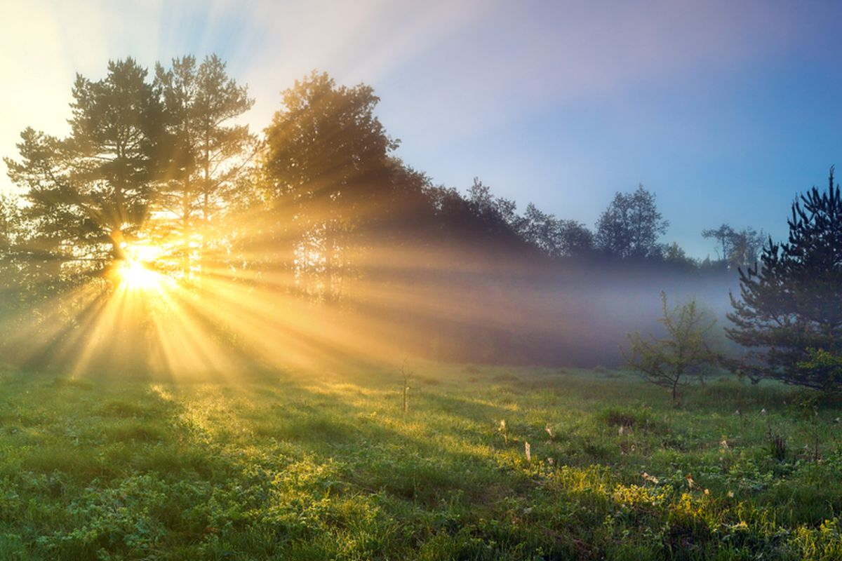 Kurangnya Paparan Sinar Matahari: 9 Kebiasaan Sehari-hari yang Dapat Merusak Otak