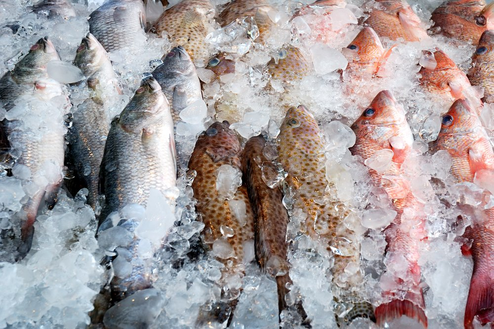 Cara Memasak Ikan Beku: Pilih Teknik Masak yang Tepat di 2024