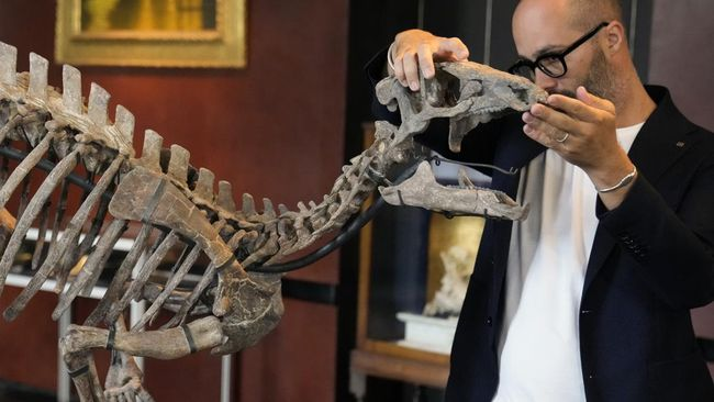 Seorang Pria Perancis Menemukan Fosil Dinosaurus