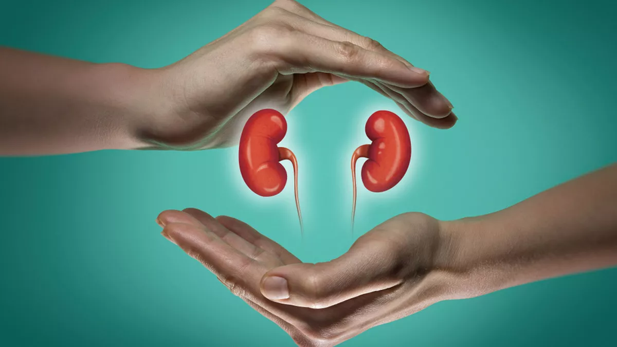 7 Cara Menjaga Kesehatan Ginjal dengan Diet Sehat