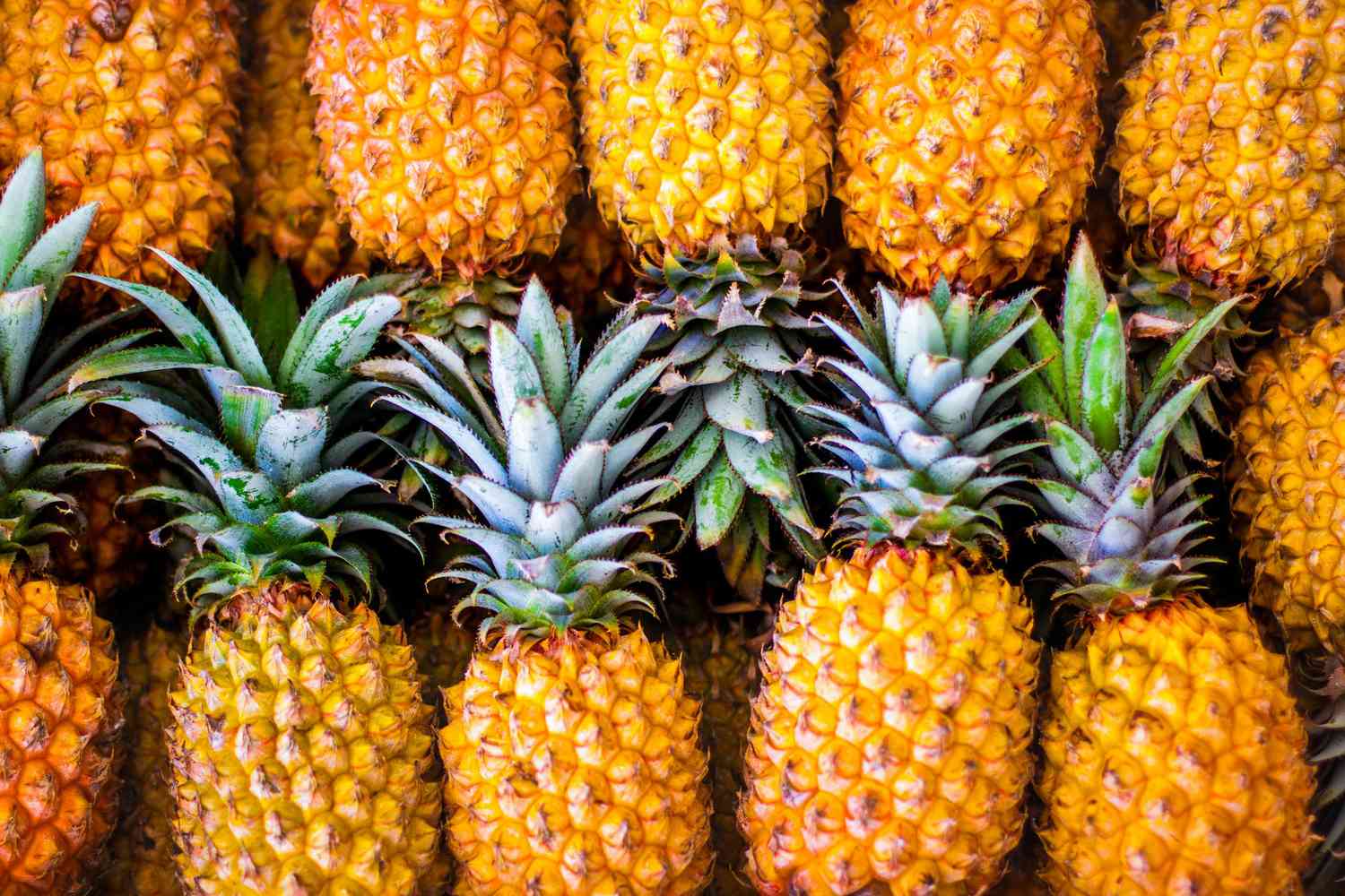 7 Manfaat Buah Nanas: Super Food Tropis Penjaga Imunitas dan Kesehatan Tubuh