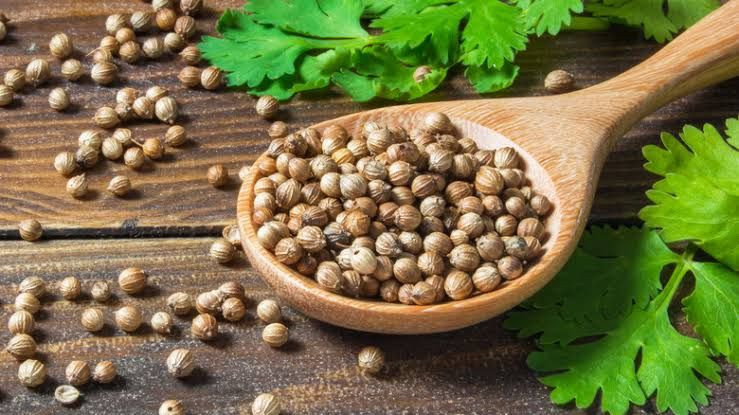 Kontrol Gula Darah dengan Biji Ketumbar: Solusi Alami yang Terbukti Efektif (2025)