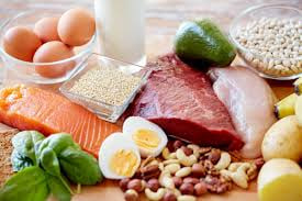 makanan protein tinggi
