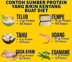 makanan protein
